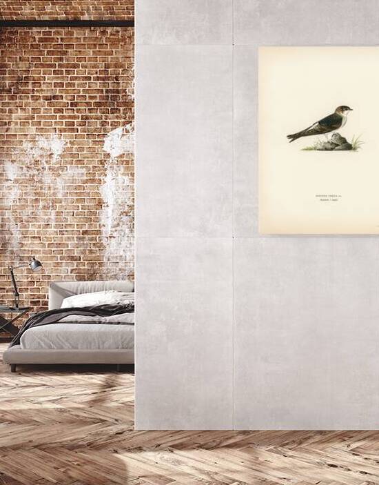 Young common house-martin Hirundo urbica by IStockHistory com