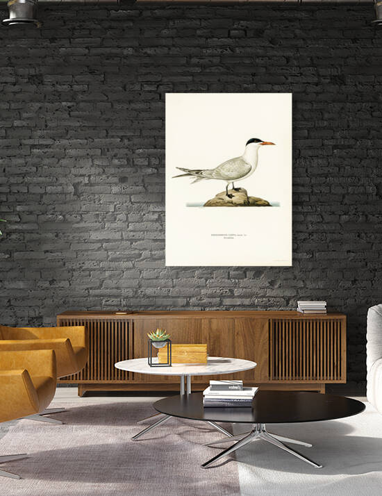 Caspian lern HYDROPROGNE CASPIA by IStockHistory com