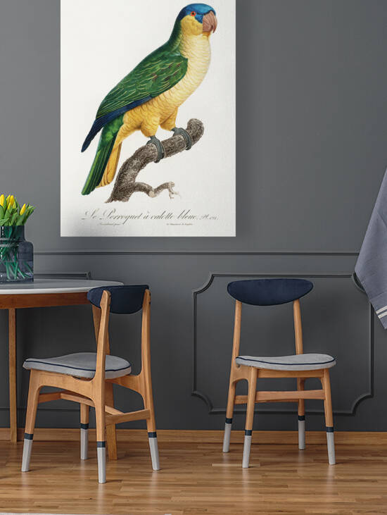 Buru green parrot  by IStockHistory com