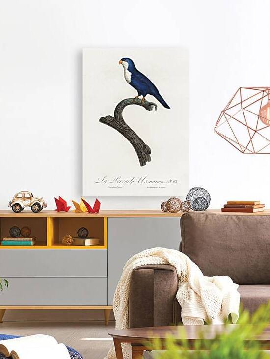 Arimanon parakeet  by IStockHistory com