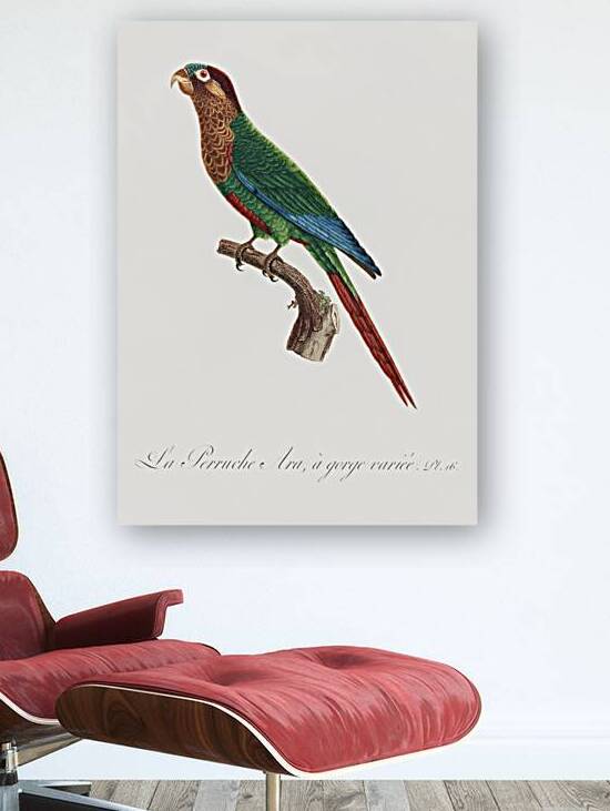 Wave-breasted parakeet  by IStockHistory com