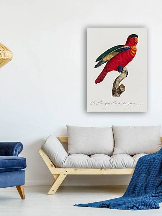 Purple-naped lory  by IStockHistory com