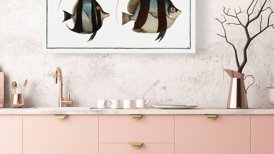 1. Chaetodon macrolepidotus 2. Chaetodon cornutus by IStockHistory com