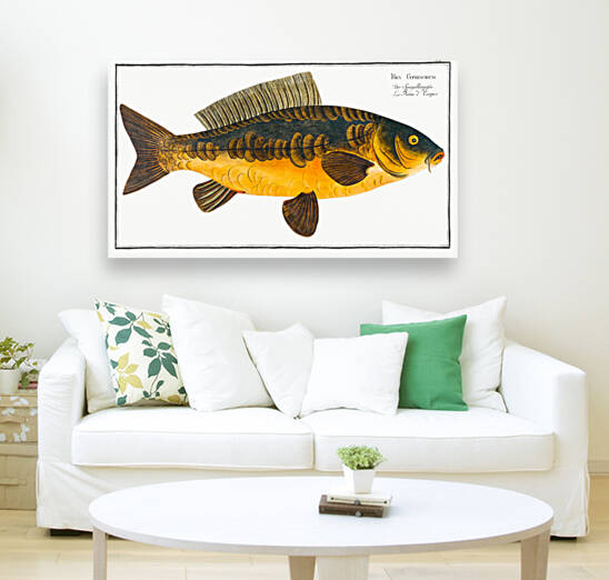 Royal-Carp Rex Cyprinorum by IStockHistory com