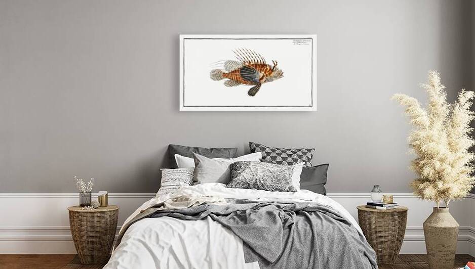 Scorpaena antennata by IStockHistory com