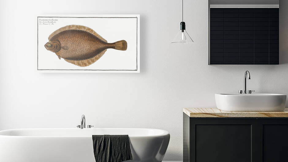 Left-Flounder Pleuronectes Passser by IStockHistory com