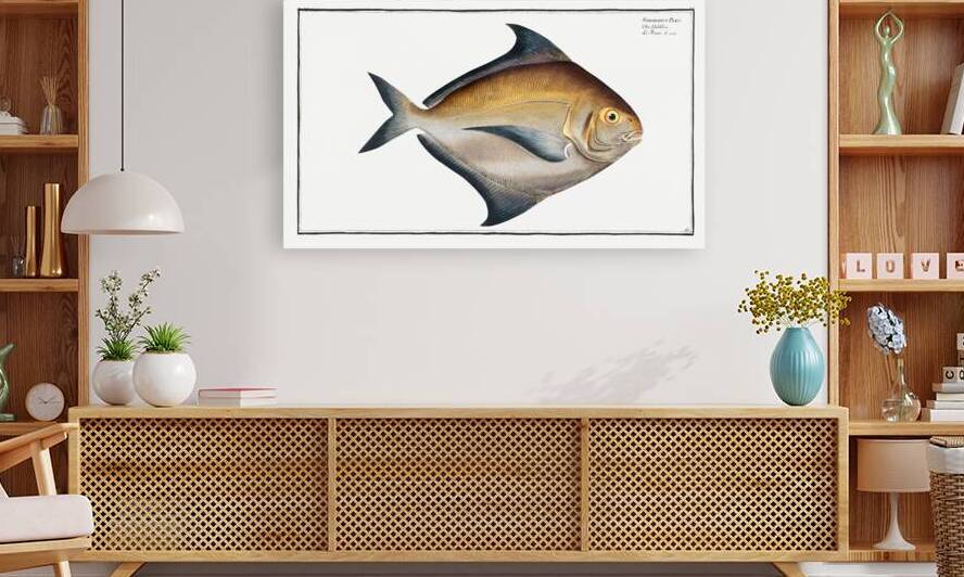 Stromateus Paru by IStockHistory com