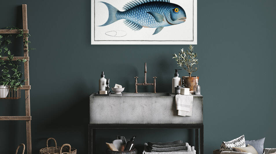 Bleu-Fish Coryphaena coerulea by IStockHistory com