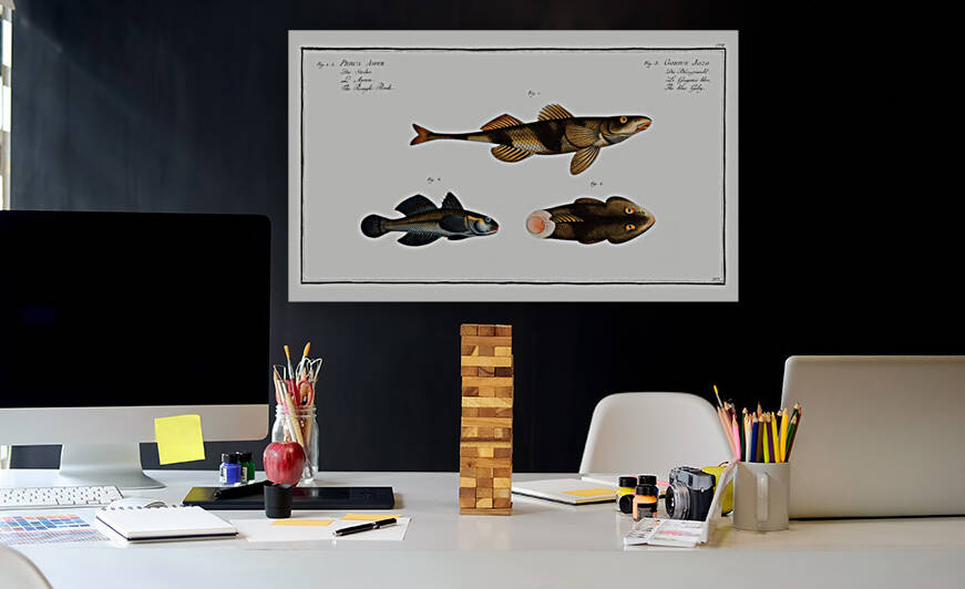 1. 2. Rough Perch Perca Asper 3. Blue Goby Gobius Jozo by IStockHistory com