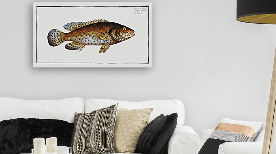 Jen-fish Bodianus guttatus by IStockHistory com