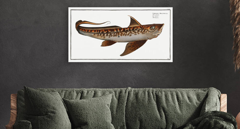 Chiméra Chimaera Monstrosa by IStockHistory com