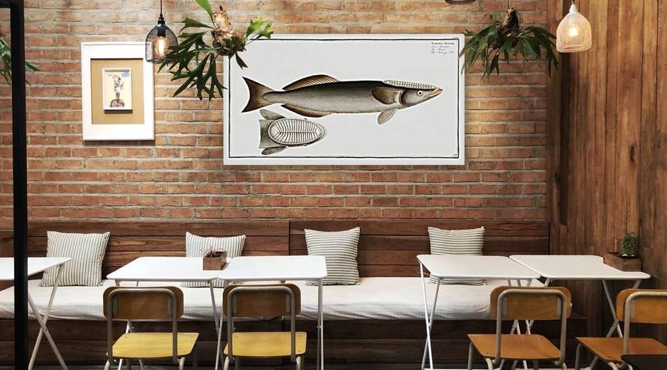 Sucking-Fish Echeneis Remora by IStockHistory com