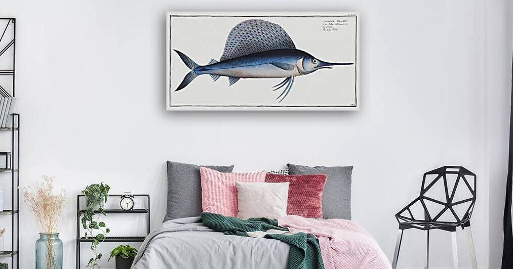 Ola-Fish Scomber Gladius by IStockHistory com