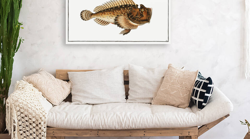 Scorpaena horrida by IStockHistory com