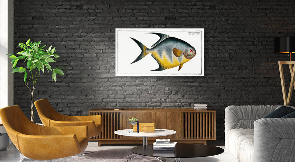 Chaetodon rhomboides by IStockHistory com