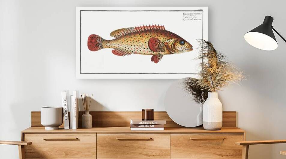 Punctulated Holocentre Holocentrus punctatus by IStockHistory com