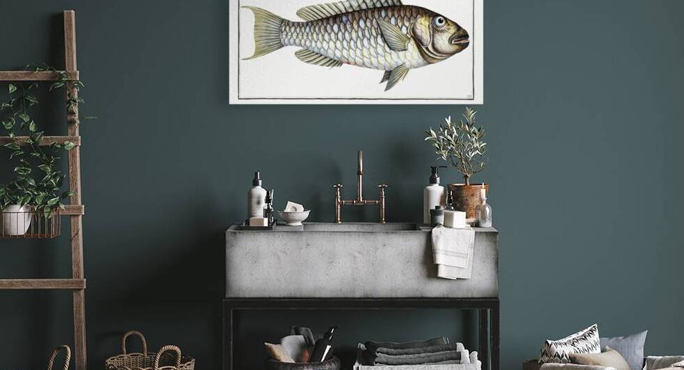 Sparus Abildgaardi by IStockHistory com