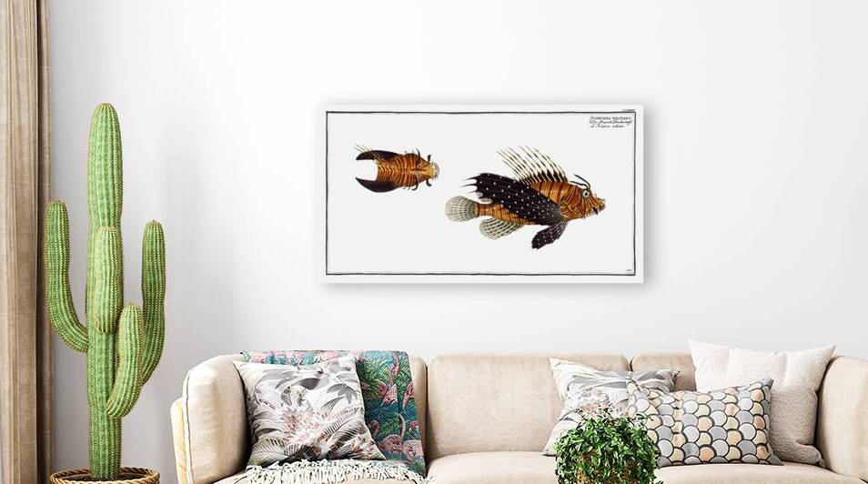 Scorpaena volitans by IStockHistory com