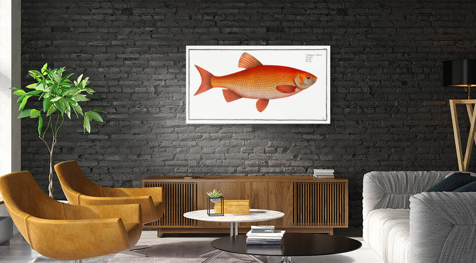 Orf Cyprnus Orfus by IStockHistory com