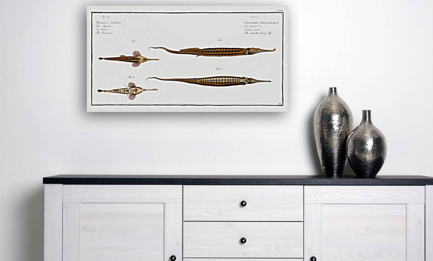 1. 2. Double-Spiny Pipe Syngnathus Biaculeatus 3. Swimmer Pegasus Natans by IStockHistory com