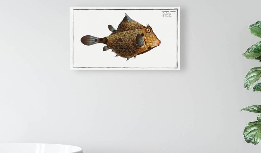 Turret-Porter Ostracion Turritus by IStockHistory com