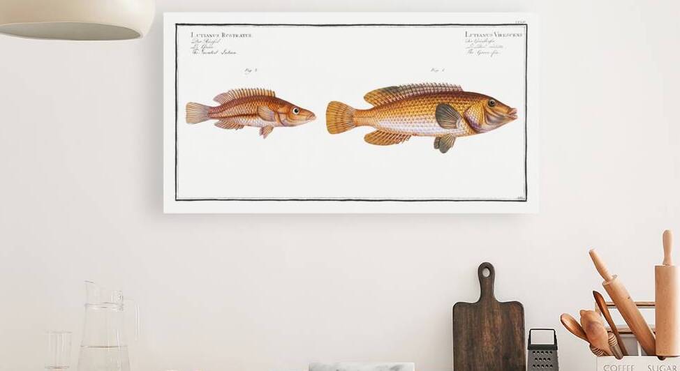 1. Green-fin Lutianus Virescens 2. Snouted Lutian Lutianus Rcstratus by IStockHistory com