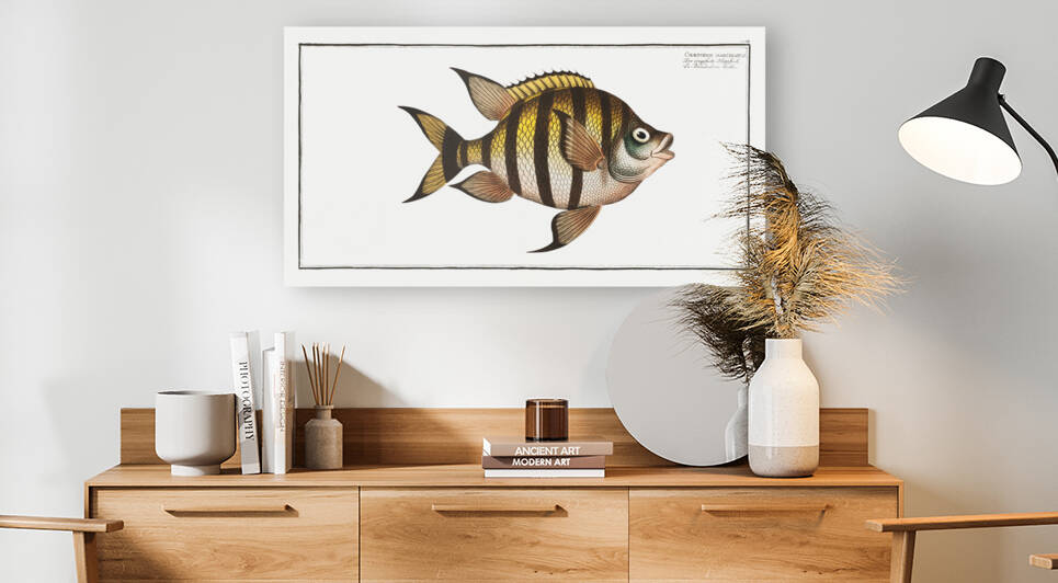 Chaetodon marginatus by IStockHistory com