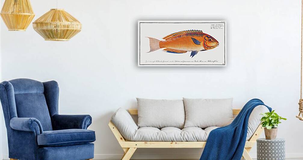 Brasilian Wrasse Labrus brasiliensis by IStockHistory com