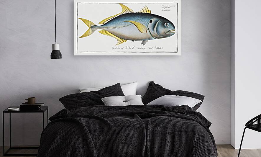 Carangoe Scomber Carangus by IStockHistory com