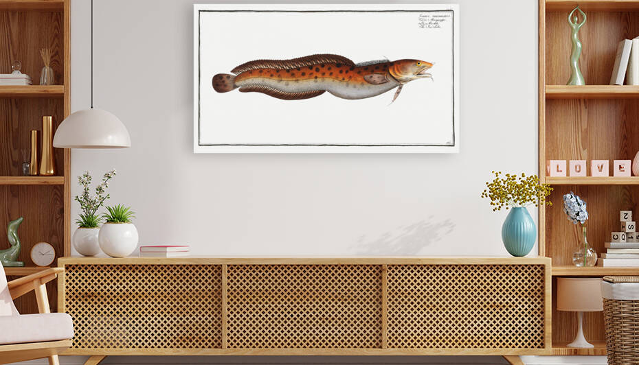 Sea Loche Gadus tricirratus by IStockHistory com