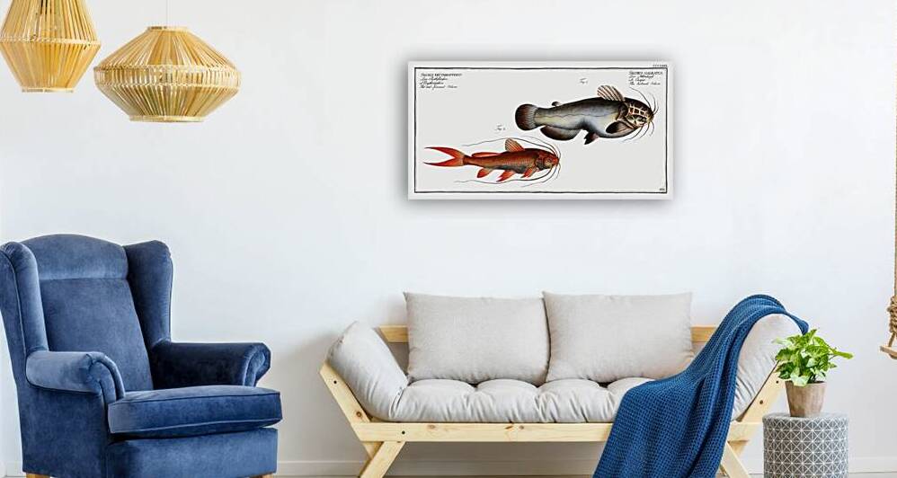 1. Helmed Silure Silurus galeatus 2. Red-finned Silure Silurus erythropterus by IStockHistory com