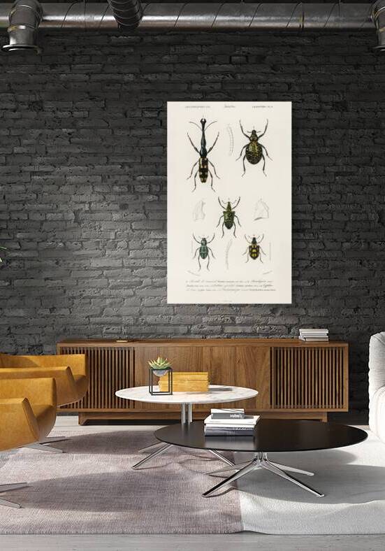 Different types of insects by IStockHistory com