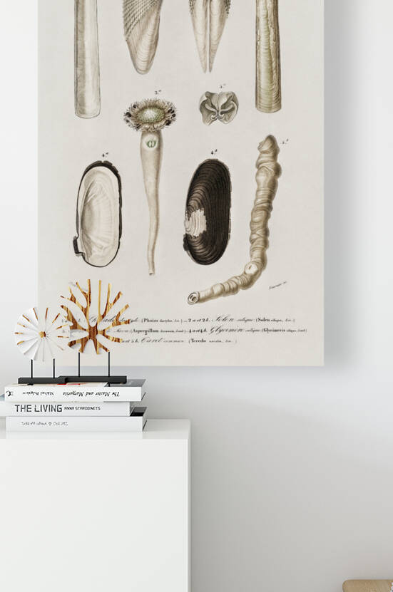 Fails Leo by IStockHistory com