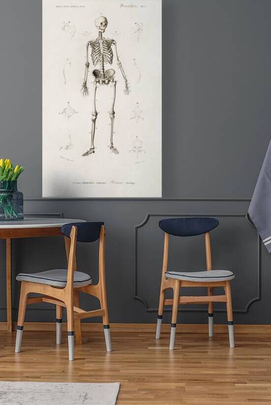 Different types of mollusks by IStockHistory com