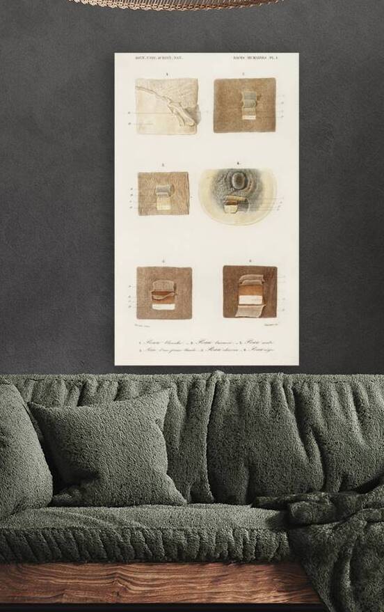 Human skin layers by IStockHistory com