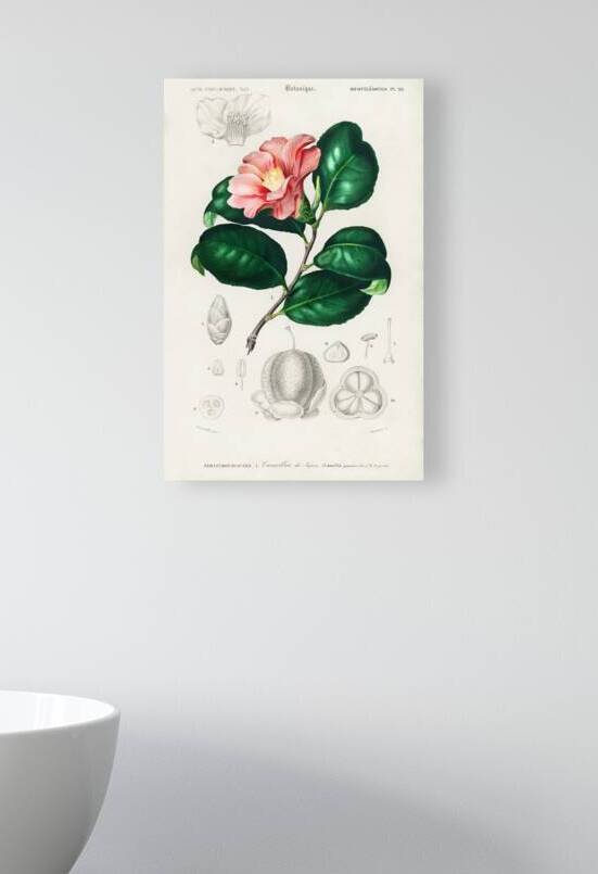 Eastern dobsonfly Corydalus cornutus by IStockHistory com