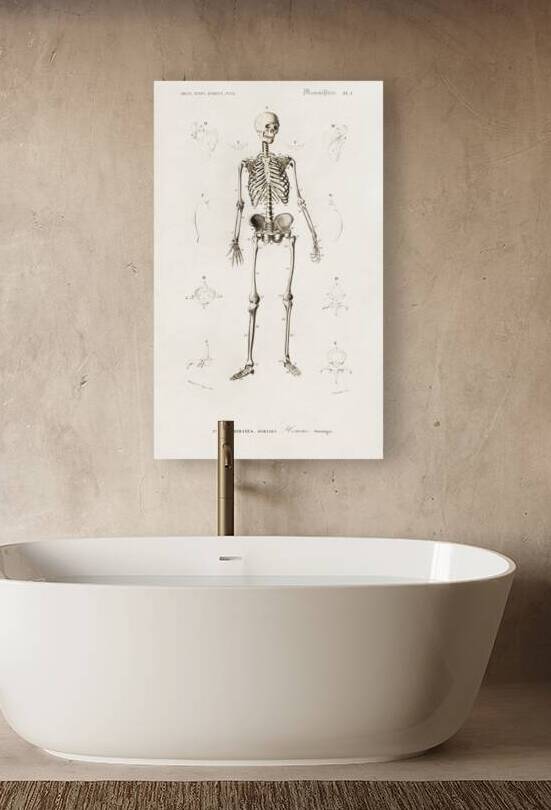 Different types of weevils by IStockHistory com