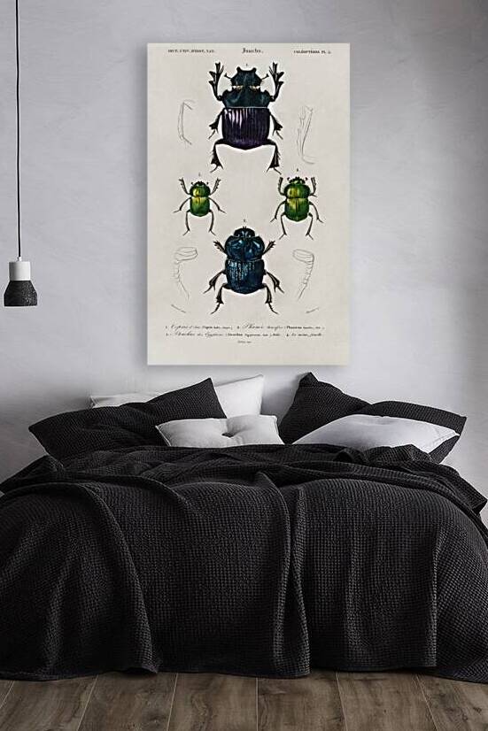 Different types of insects by IStockHistory com