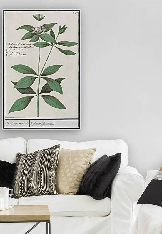 Silk plant in vintage style by IStockHistory com