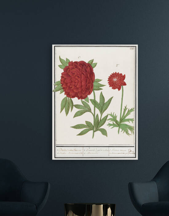 Peony and anemone in vintage style by IStockHistory com