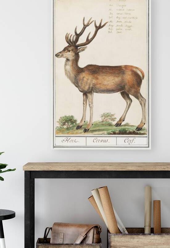 Peony and anemone in vintage style by IStockHistory com