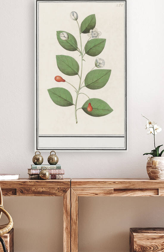 Myrtle family in vintage style by IStockHistory com