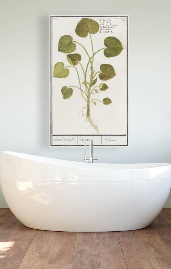 Mansoor flower in vintage style by IStockHistory com