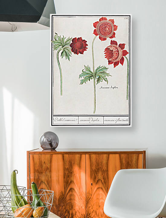 Peony and anemone in vintage style by IStockHistory com