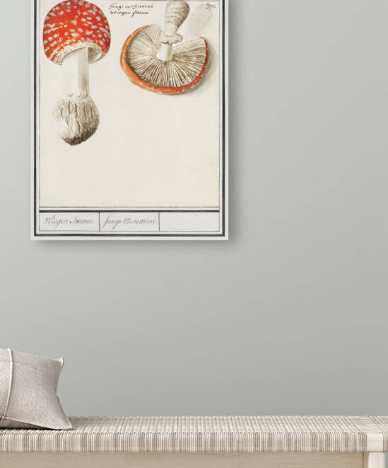 Mushrooms in vintage style by IStockHistory com