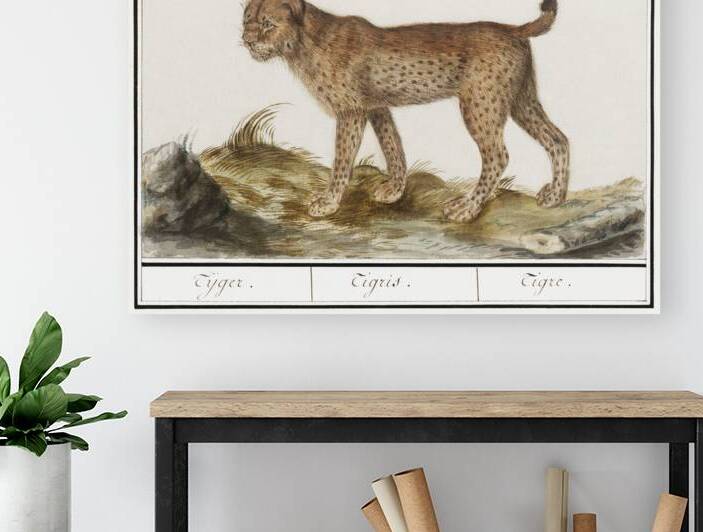 Lynx in vintage style by IStockHistory com