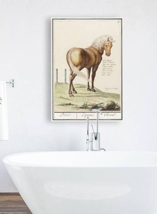 Horse in vintage style by IStockHistory com