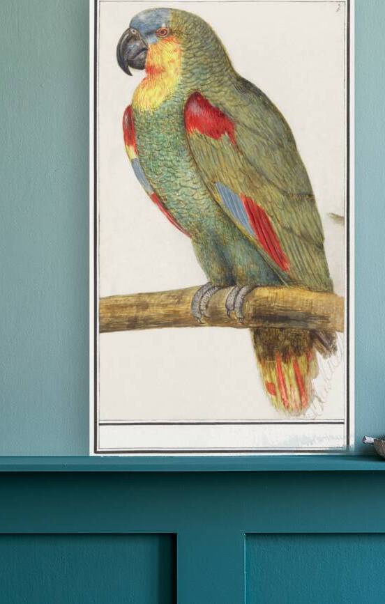Parrot in vintage style by IStockHistory com