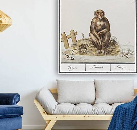 Monkey in vintage style by IStockHistory com