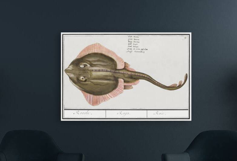 Rays in vintage style by IStockHistory com